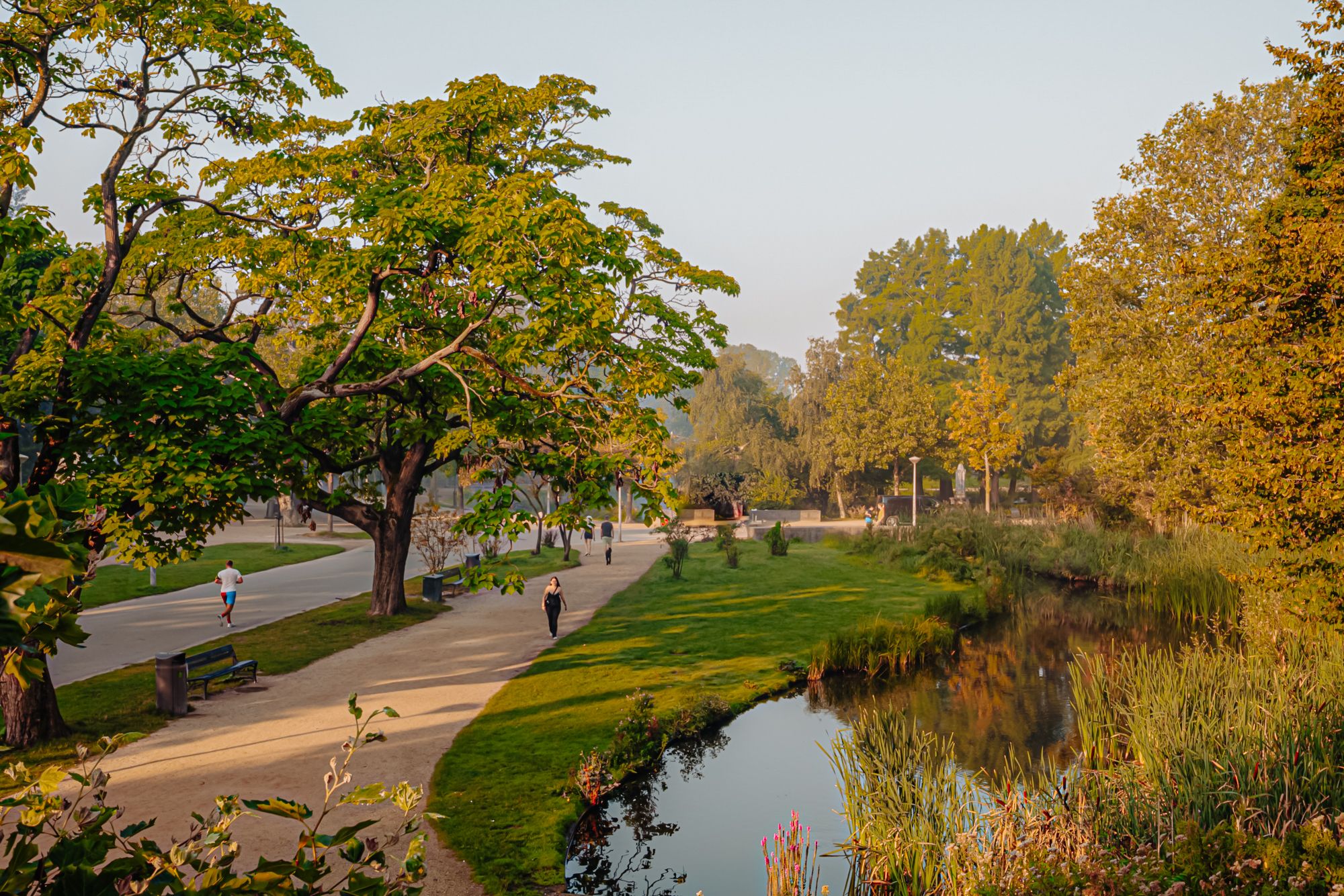 Foto 36 van Vossiusstraat 17-D