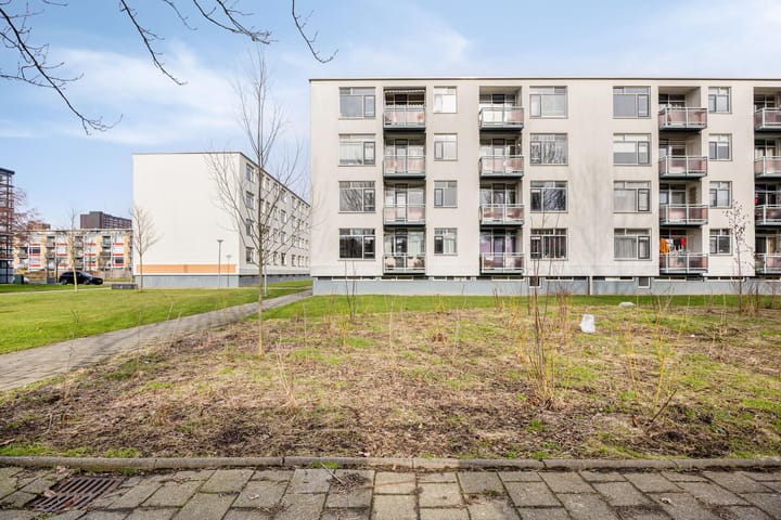 Foto 2 van Vasaristraat 140