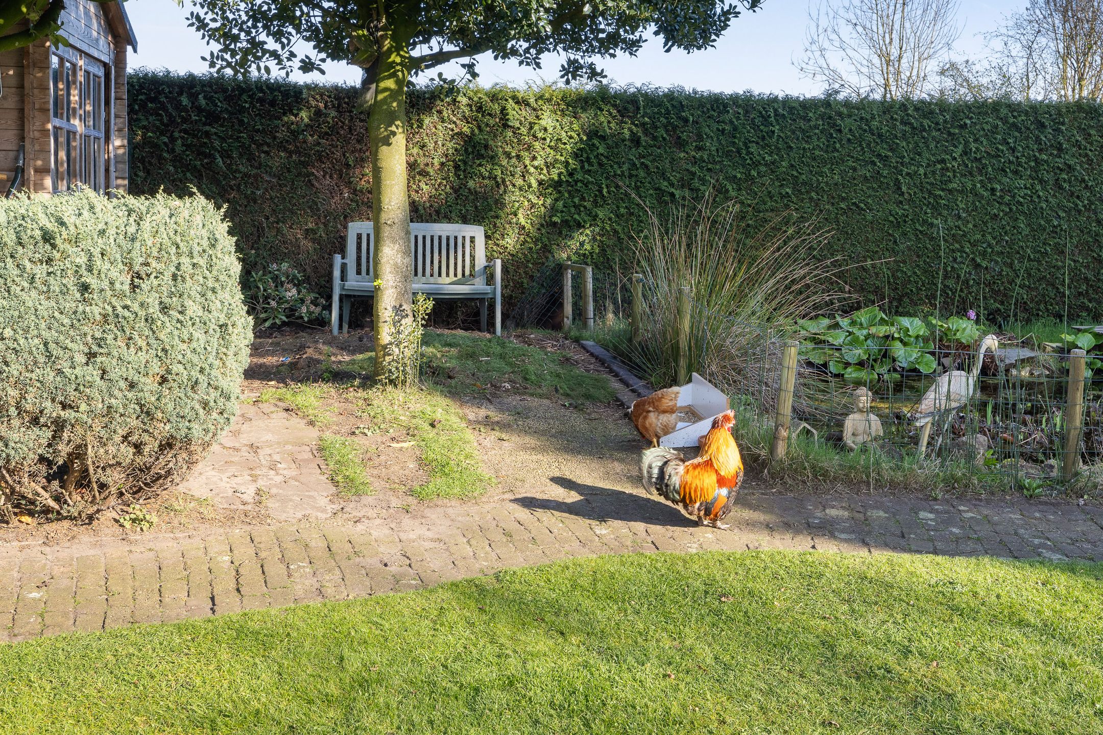 Foto 42 van Hoog-Beugt 2