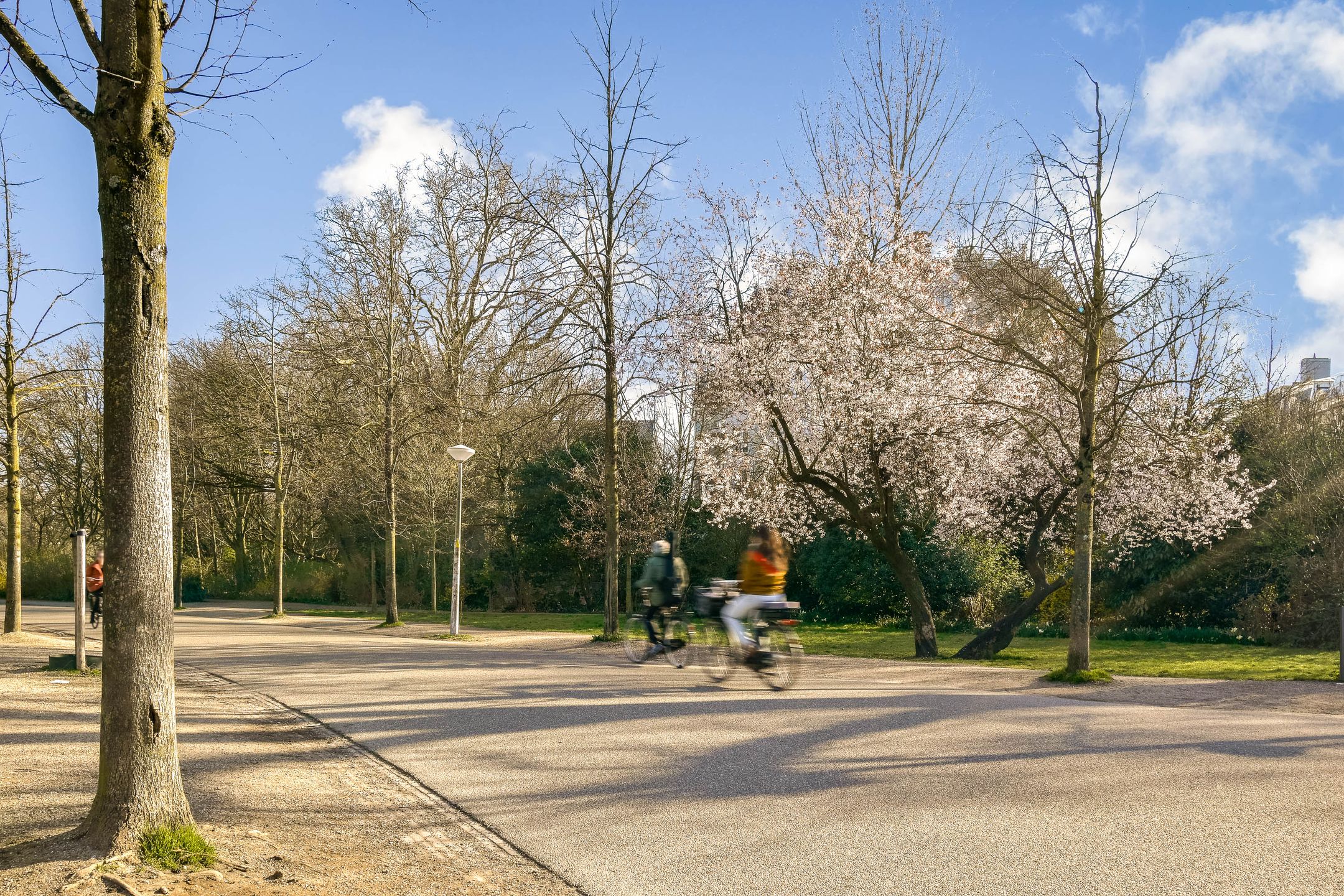 Foto 45 van Van Eeghenstraat 26-H