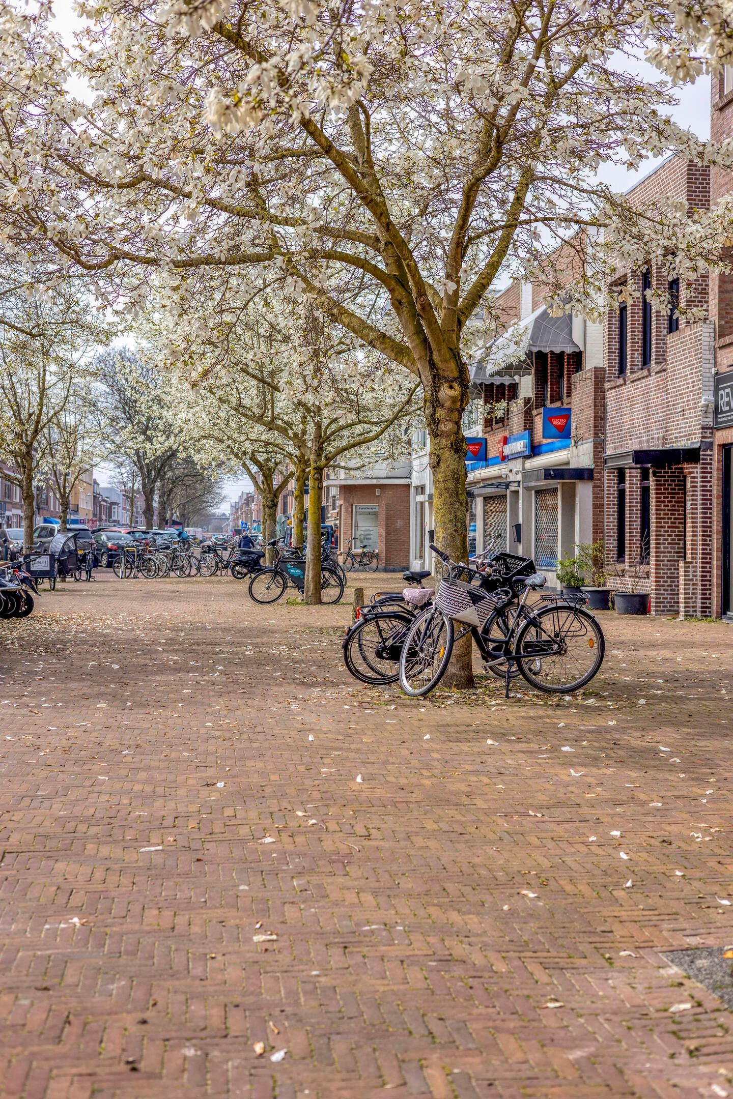 Photo 35 of Pijnboomstraat 9