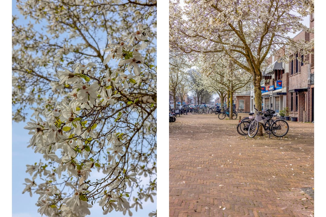 Photo 37 of Pijnboomstraat 9