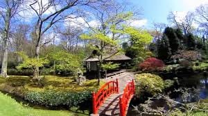 Photo 27 of Mankesstraat 103