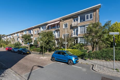 Mankesstraat thumbnail