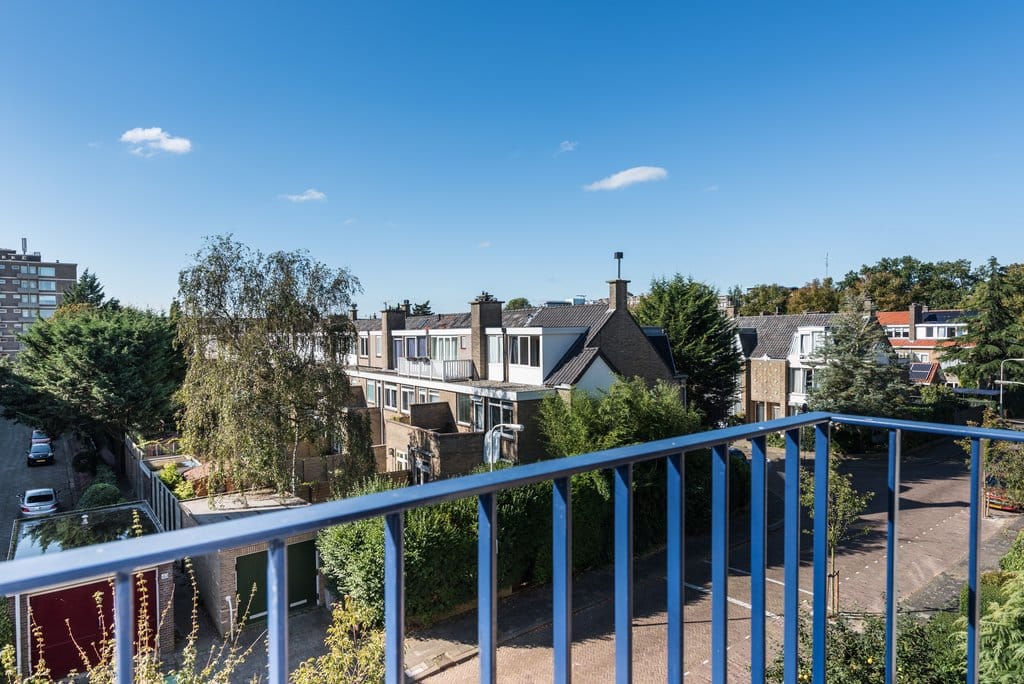 Photo 14 of Mankesstraat 103