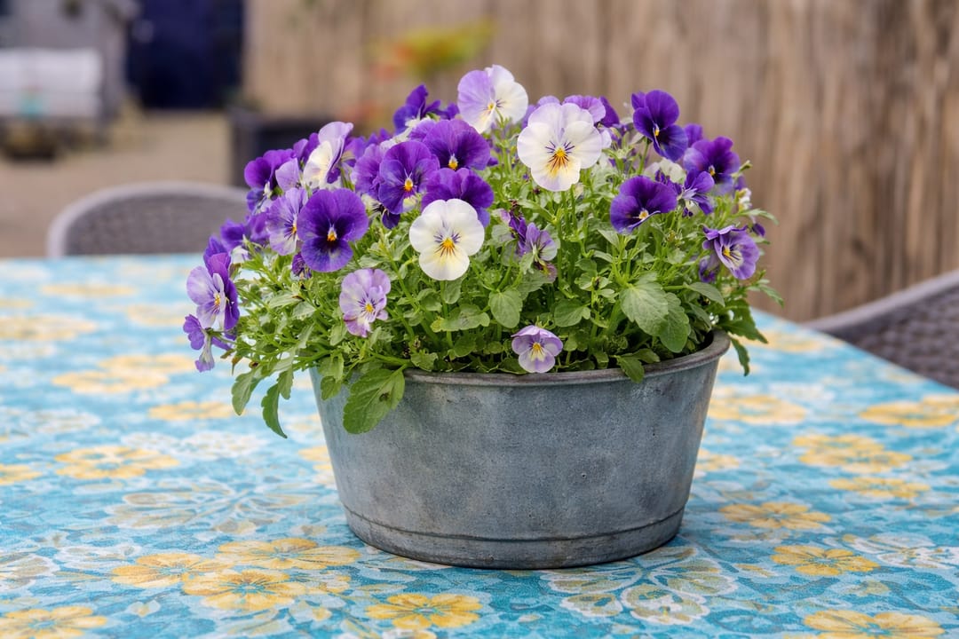 Foto 16 van Sint Janstraat 28