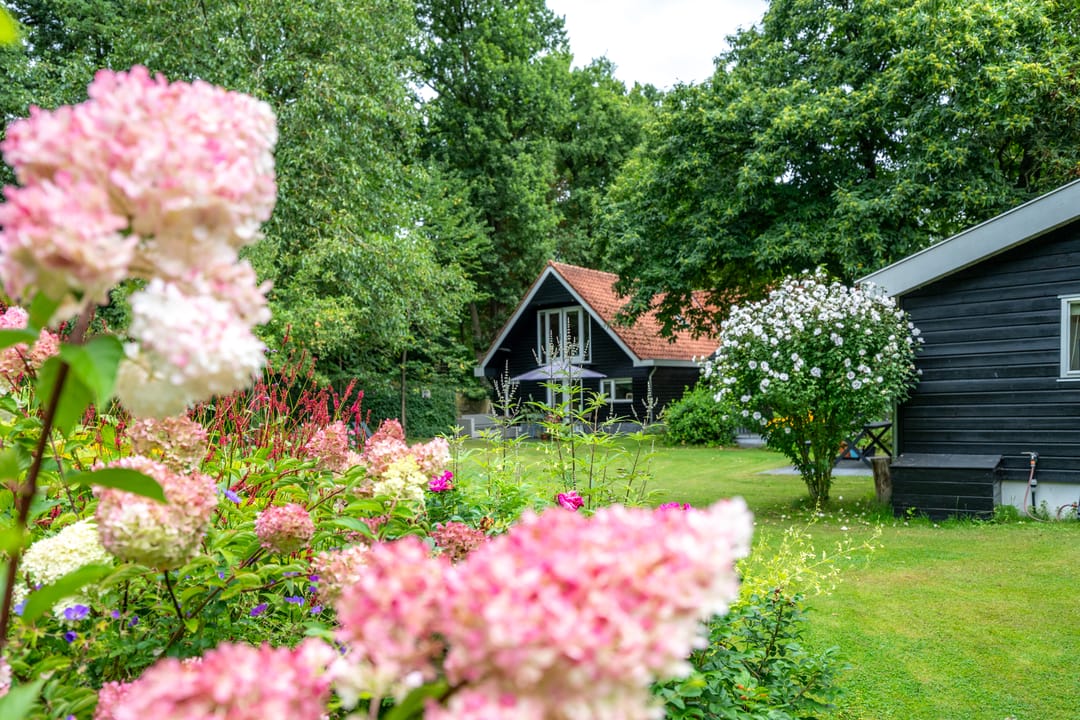 Foto 61 van Sterkenburgerlaan 18-A