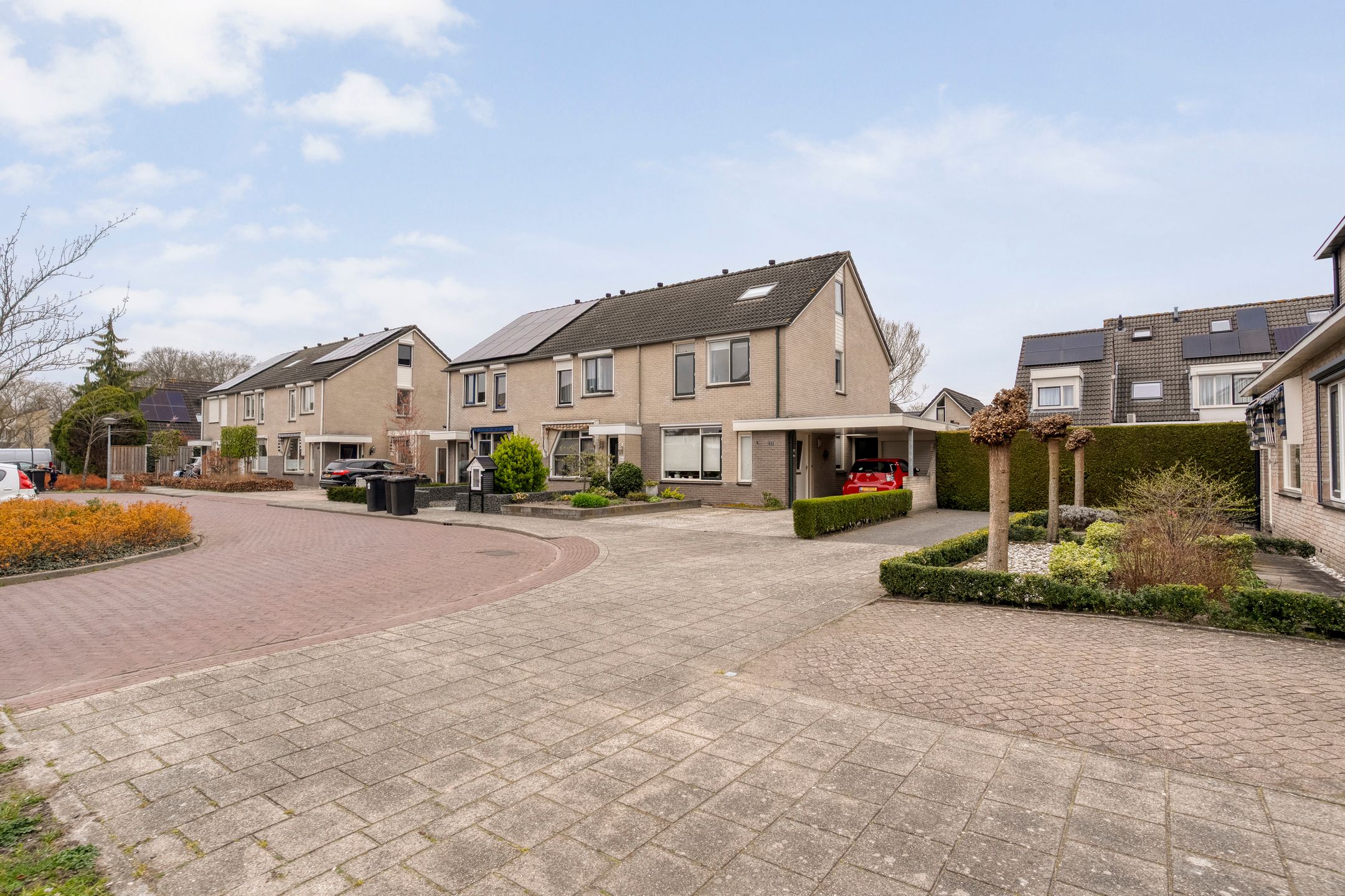 Photo 42 of Pijlkruid 57