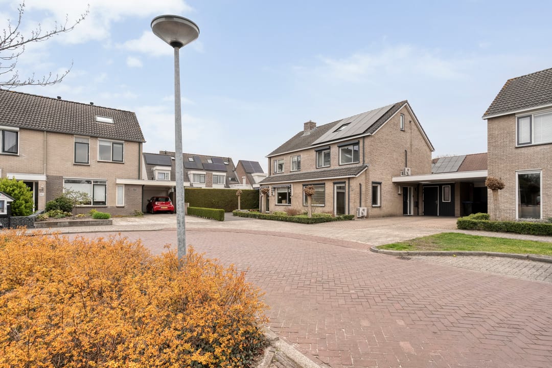 Photo 43 of Pijlkruid 57