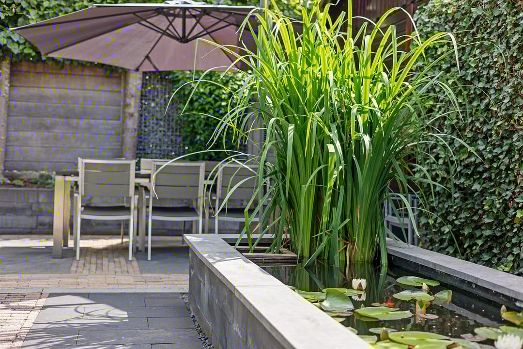 Foto 47 van Sieger van der Laanstraat 15