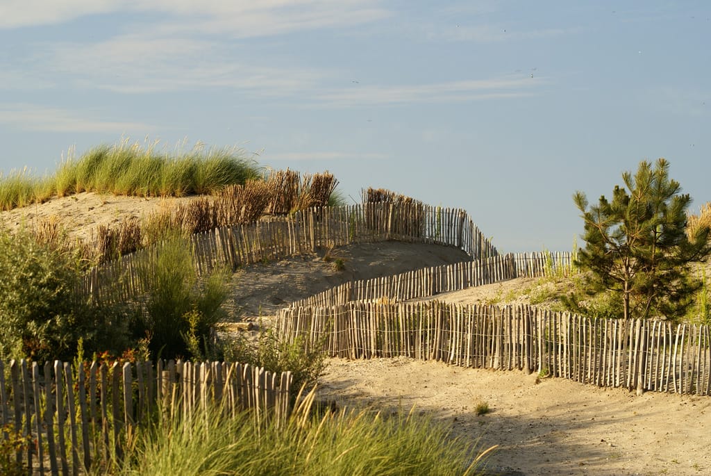 Foto 5 van Zeeduinweg 330