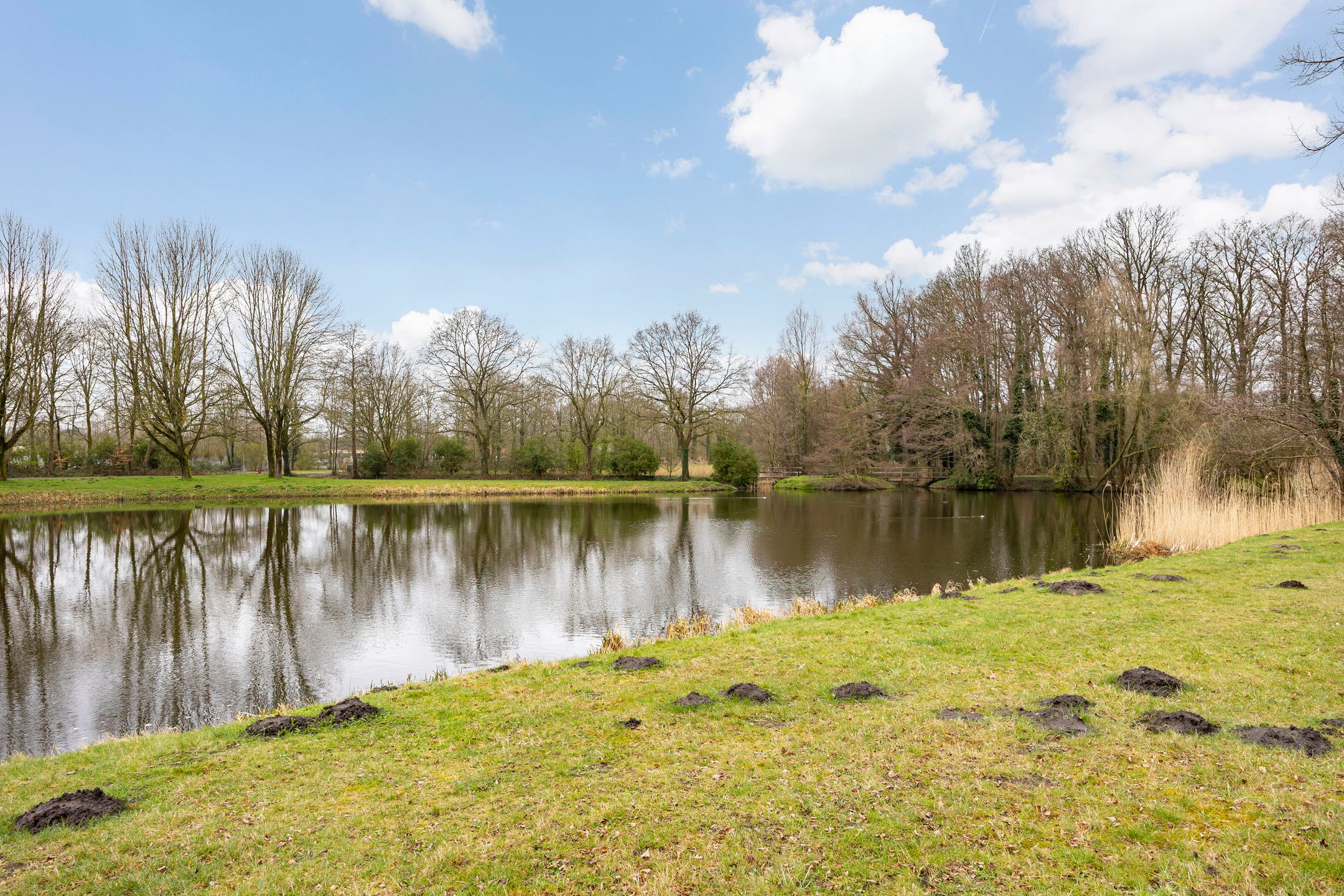 Foto 48 van Bittervoornstraat 46