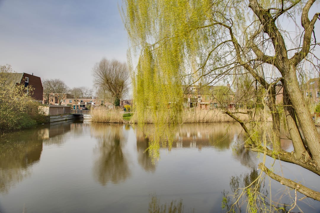 Foto 23 van Pijlkruidvaart 25