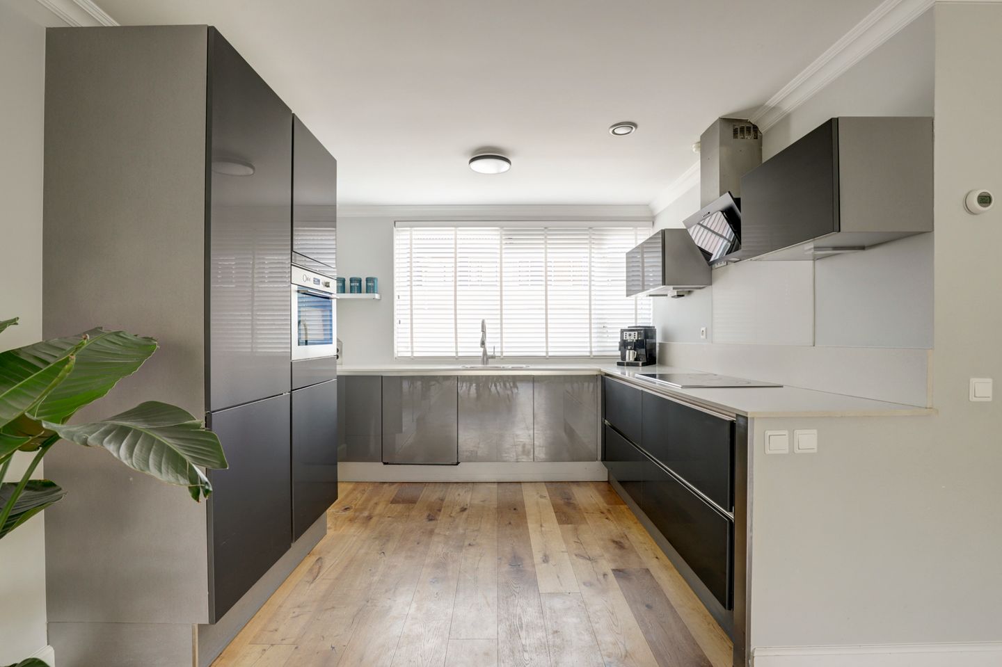 Foto 5 van Lijster 19