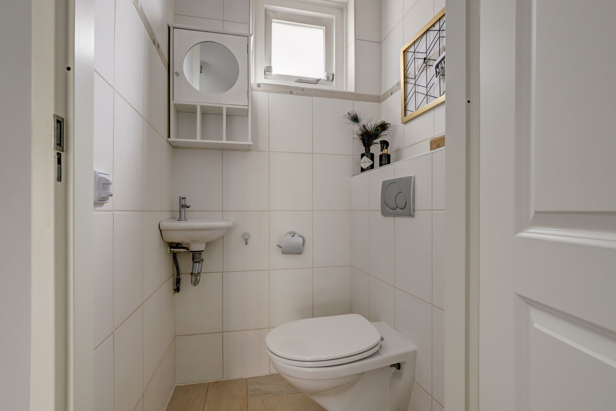 Foto 9 van Lijster 19