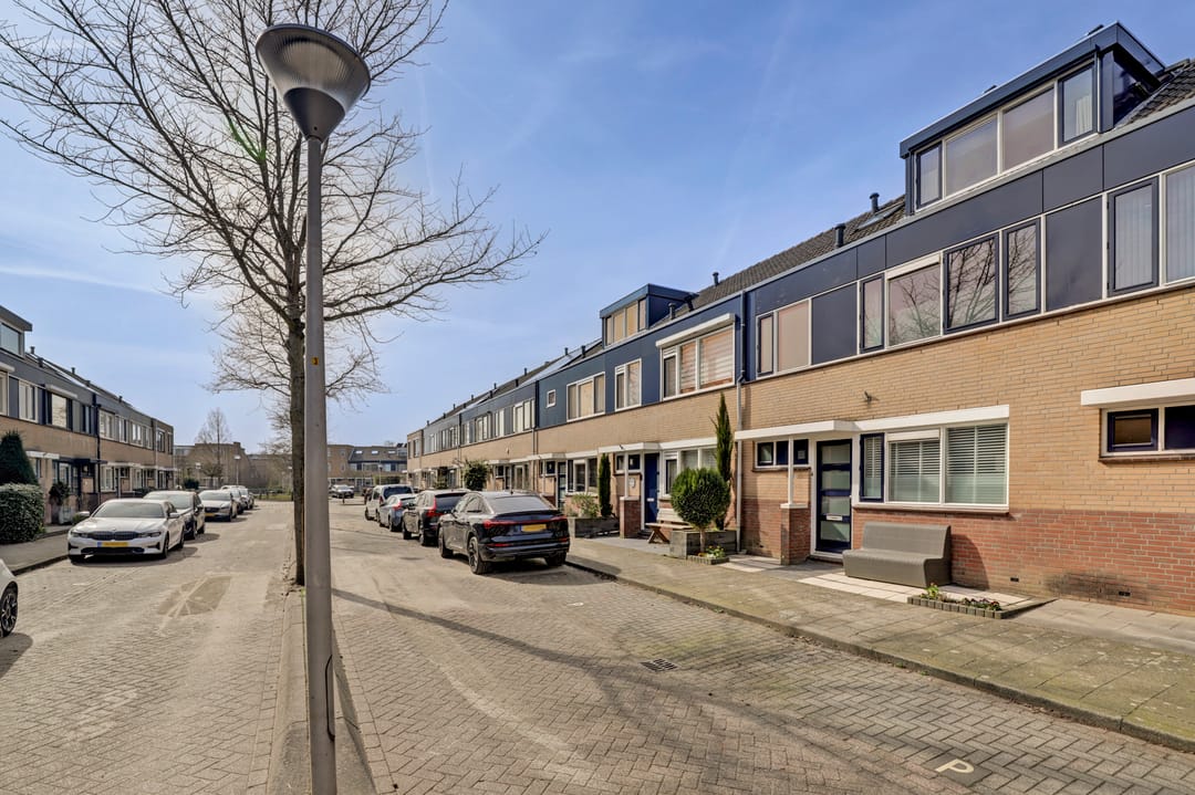 Foto 41 van Lijster 19