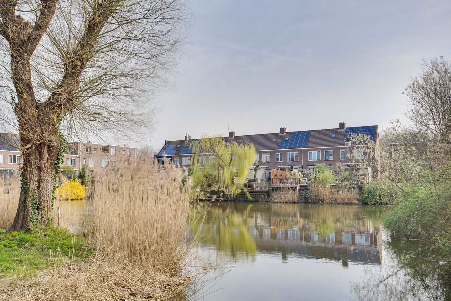 Foto 44 van Pijlkruidvaart 25