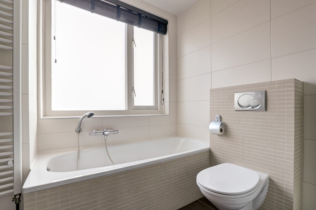 Foto 28 van Lijster 19