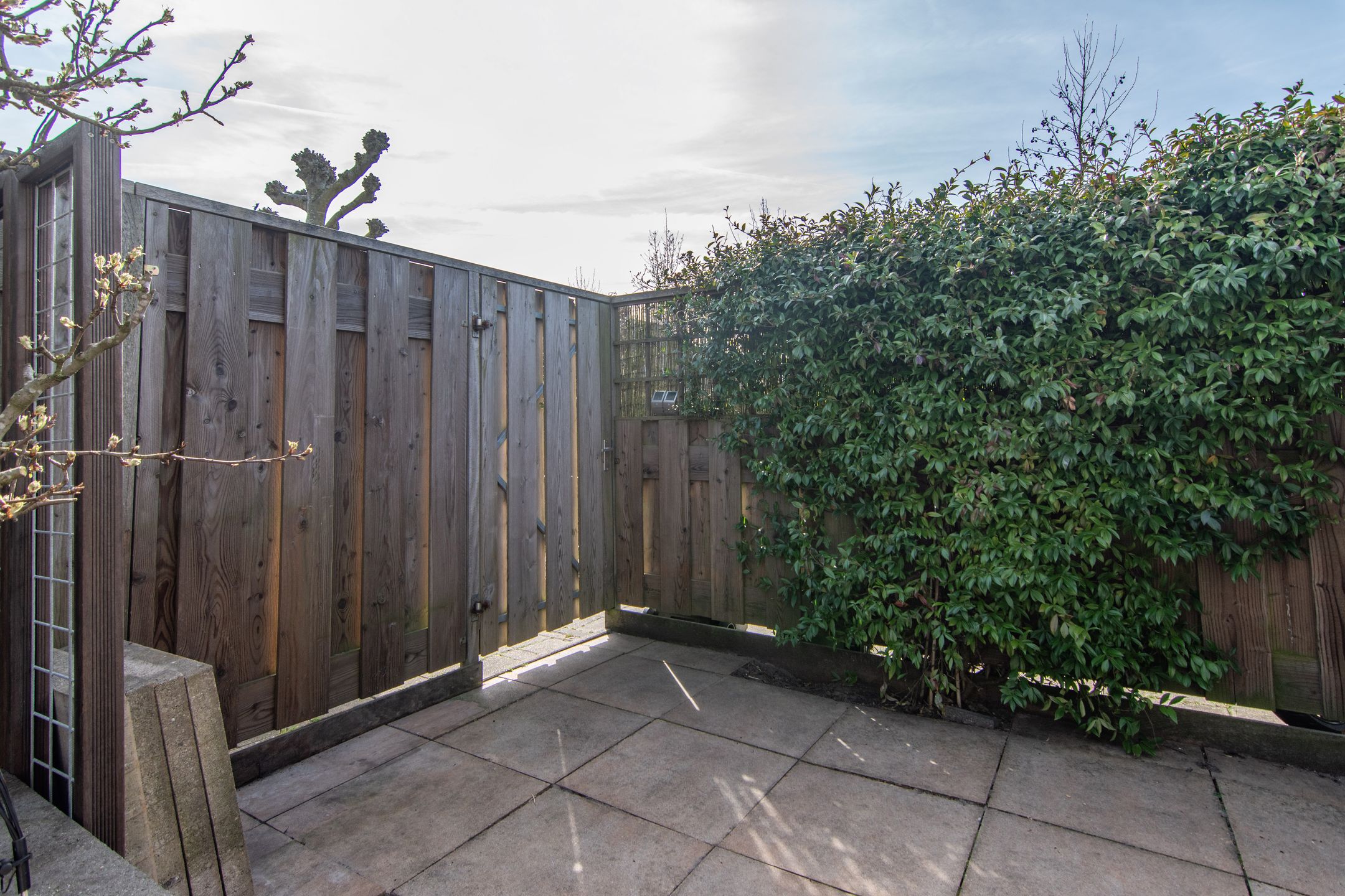 Foto 21 van Agaat 77