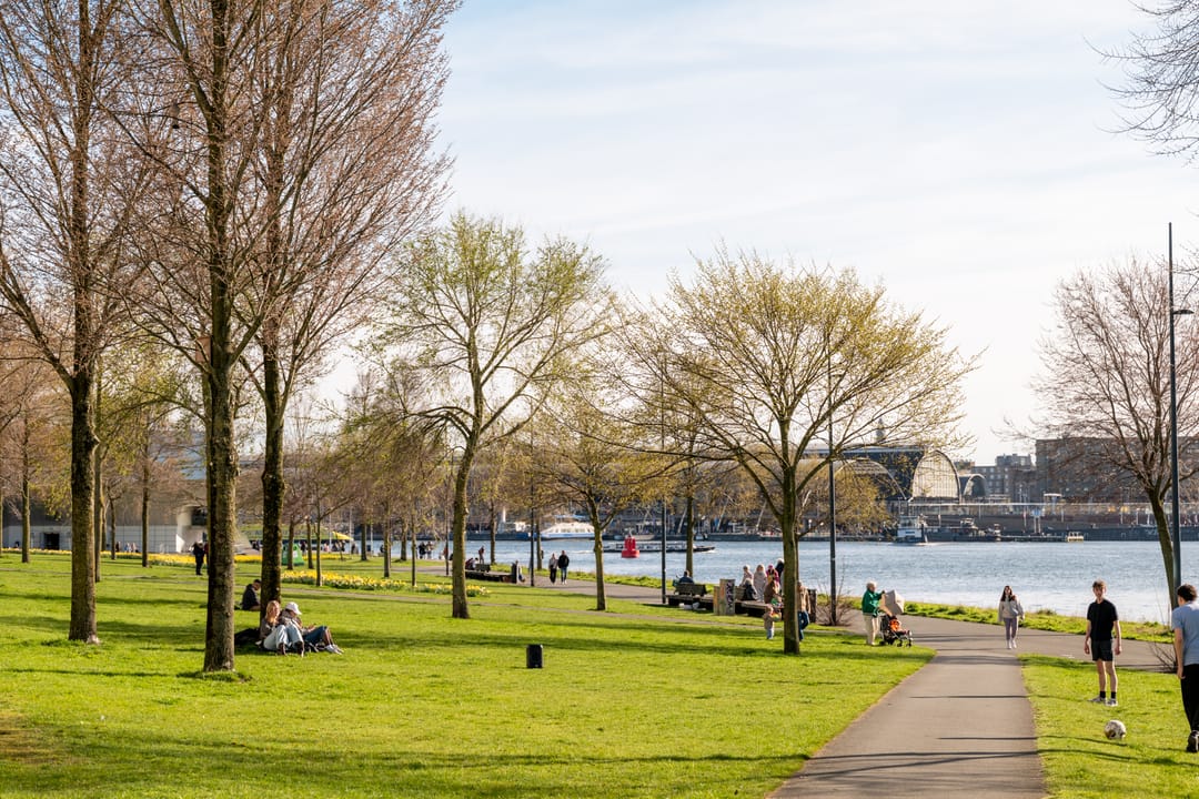 Foto 37 van Grasweg 386