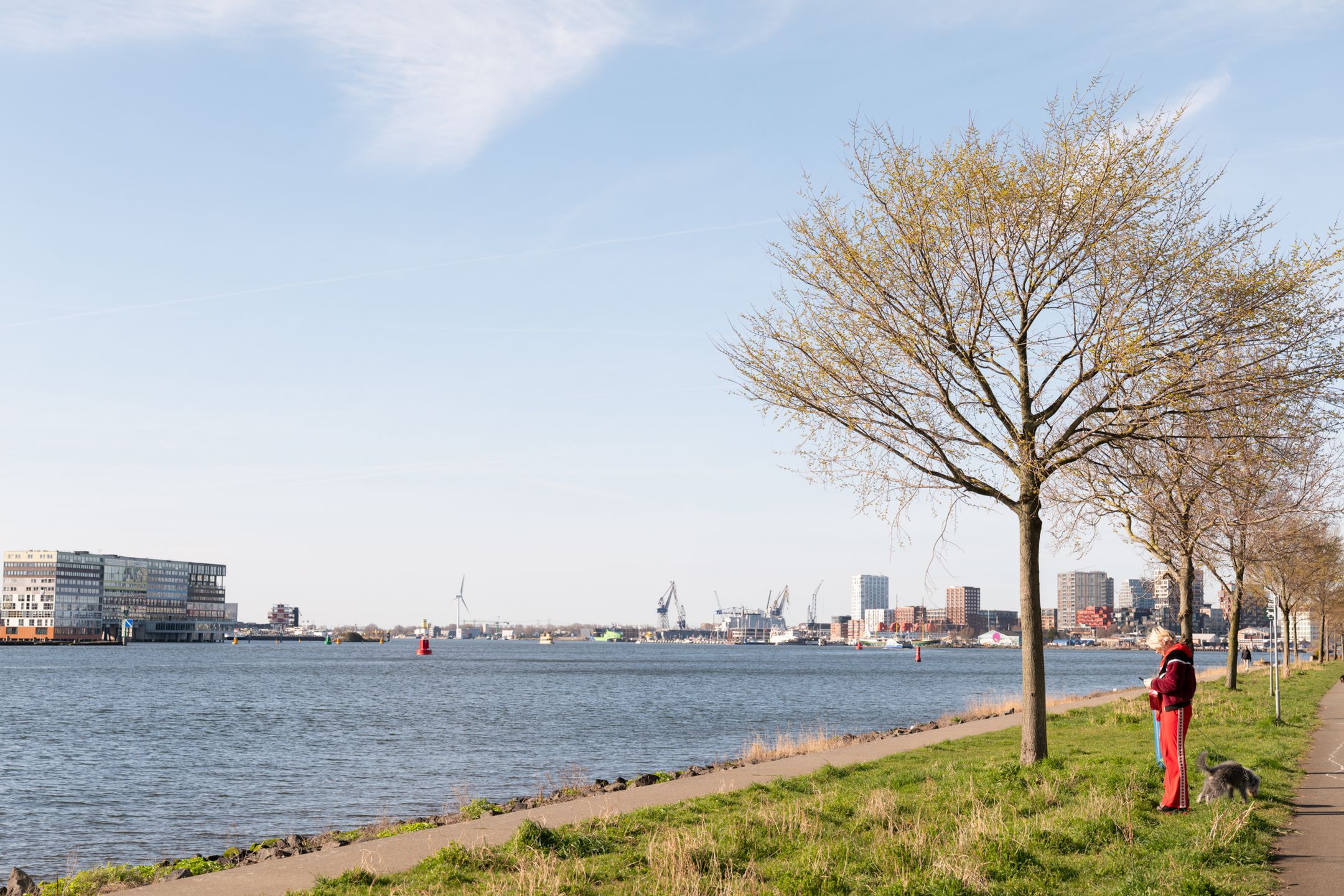 Foto 39 van Grasweg 386