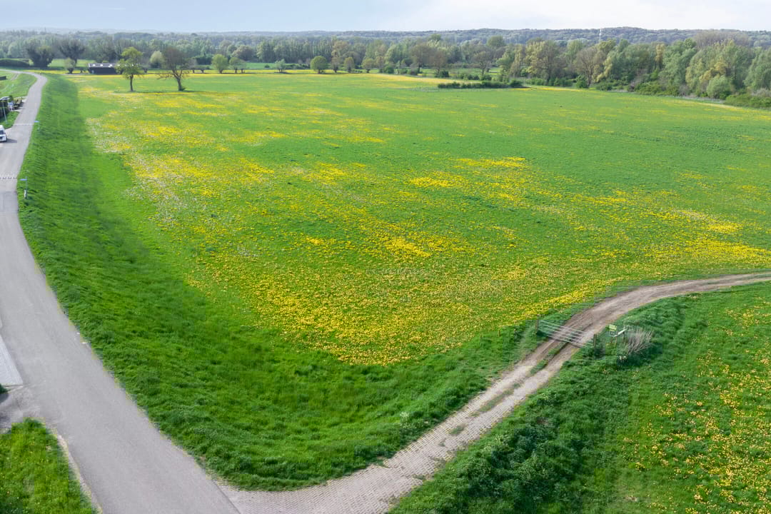 Foto 41 van Kerkstraat 23