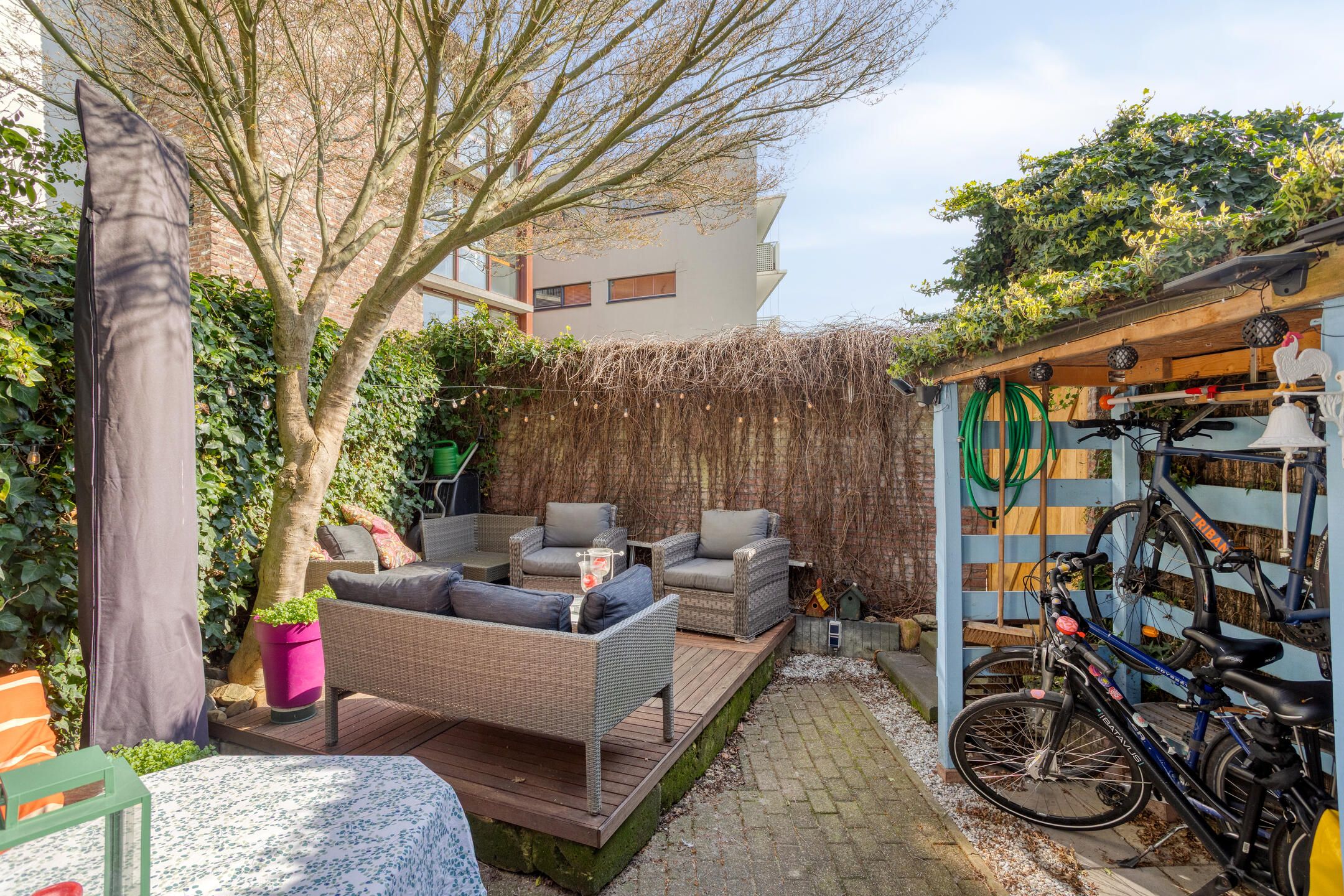 Foto 42 van Jekerstraat 37-K