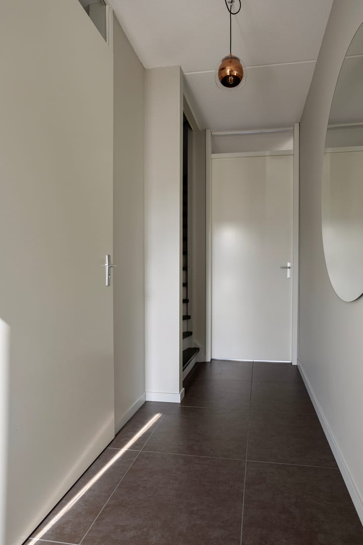 Foto 4 van Aalscholver 3