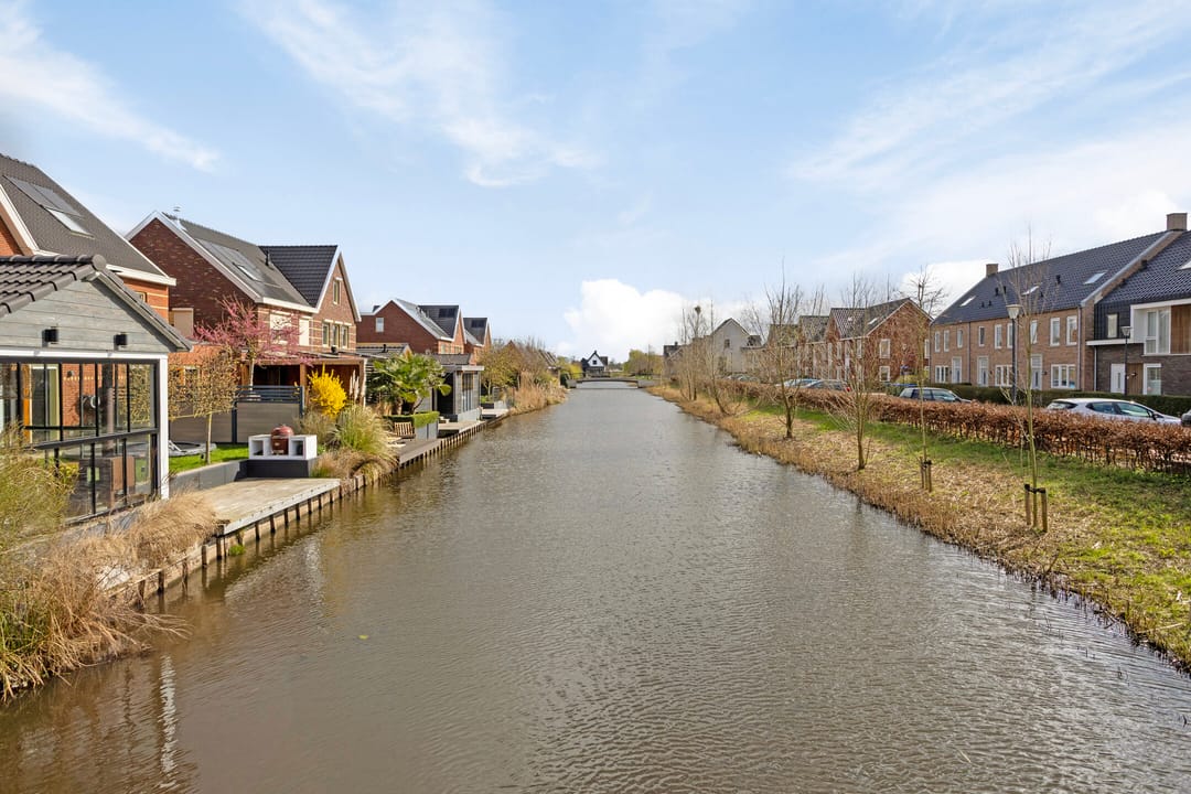 Photo 38 of Aalscholver 3