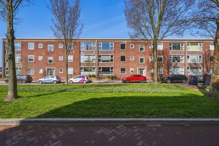Foto 4 van Singel 55