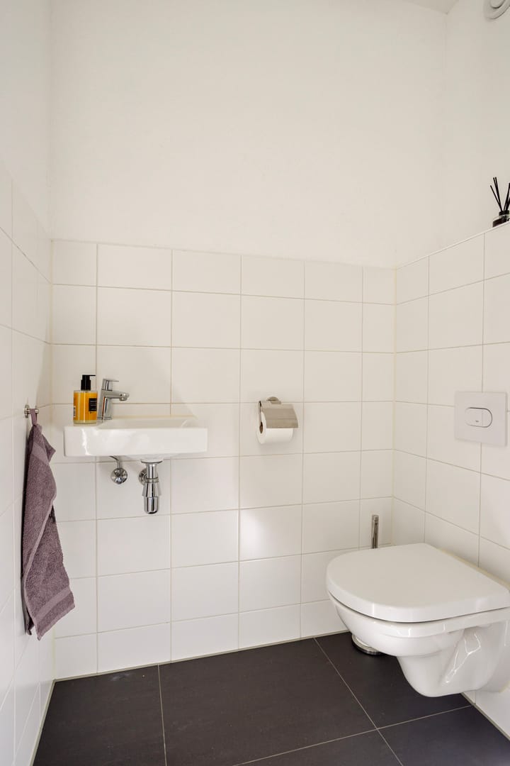 Foto 5 van Aalscholver 3