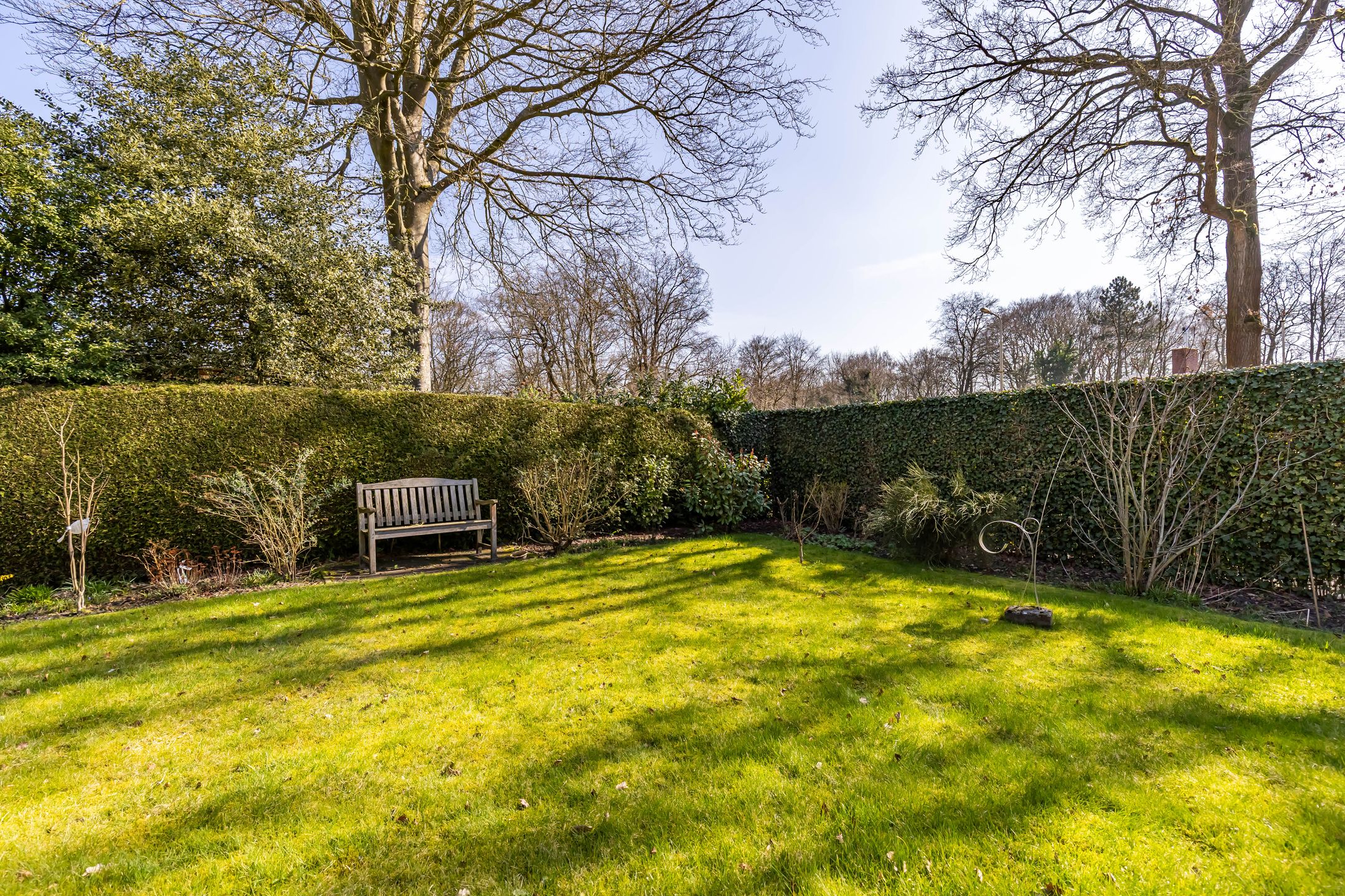 Foto 51 van Skoalleane 35