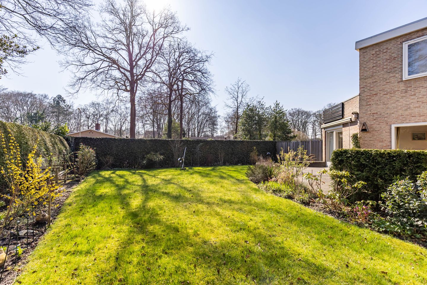 Foto 44 van Skoalleane 35