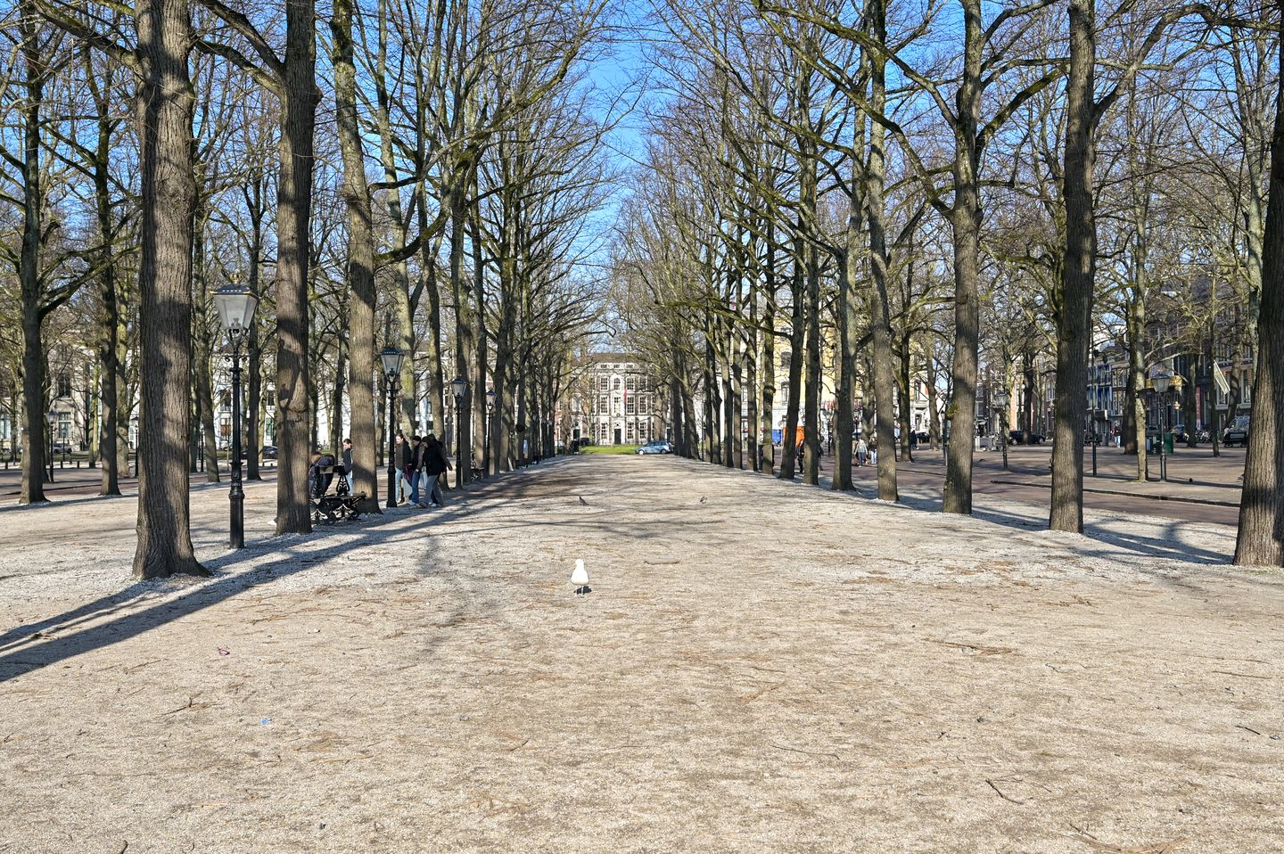 Photo 25 of Lange Vijverberg 13-B