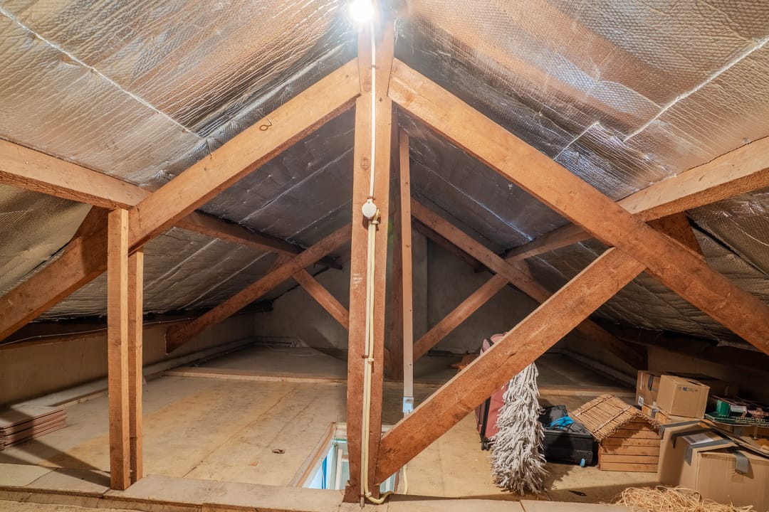 Photo 32 of Wilhelminalaan 18