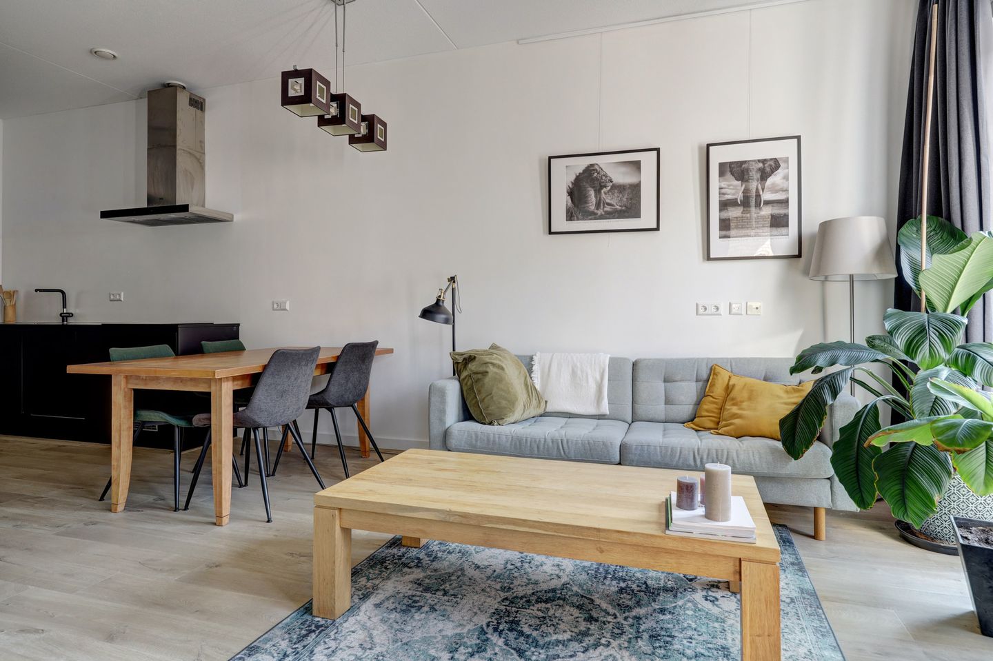 Photo 14 of Revaleiland 12