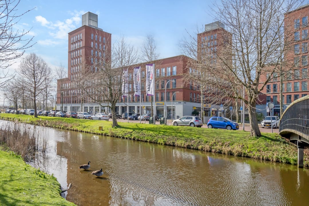 Foto 28 van Schrabber 46