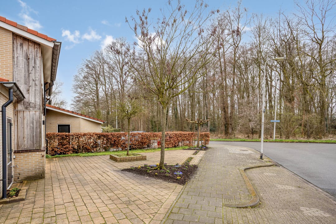 Foto 41 van Zeehondstraat 65