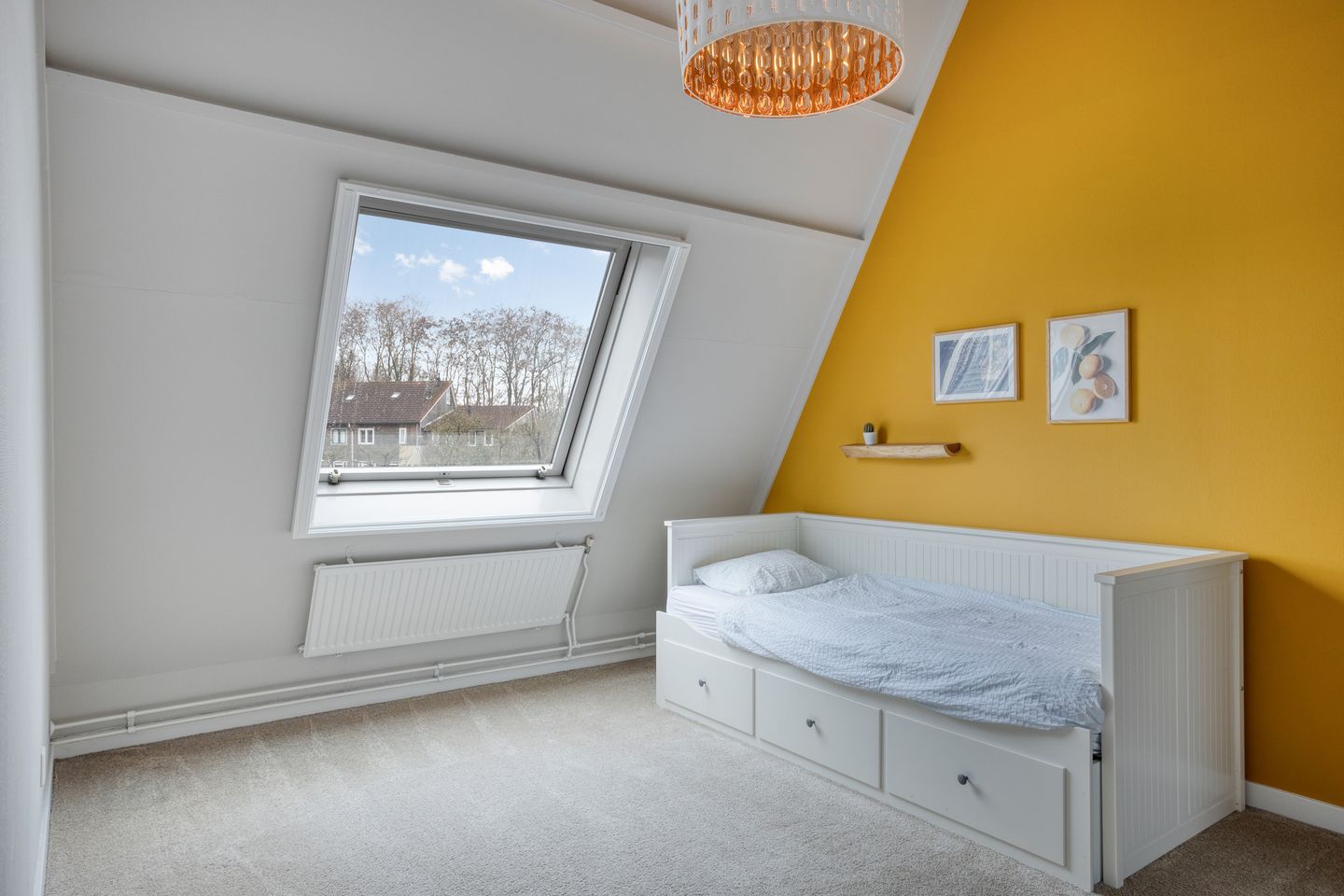 Foto 29 van Zeehondstraat 65