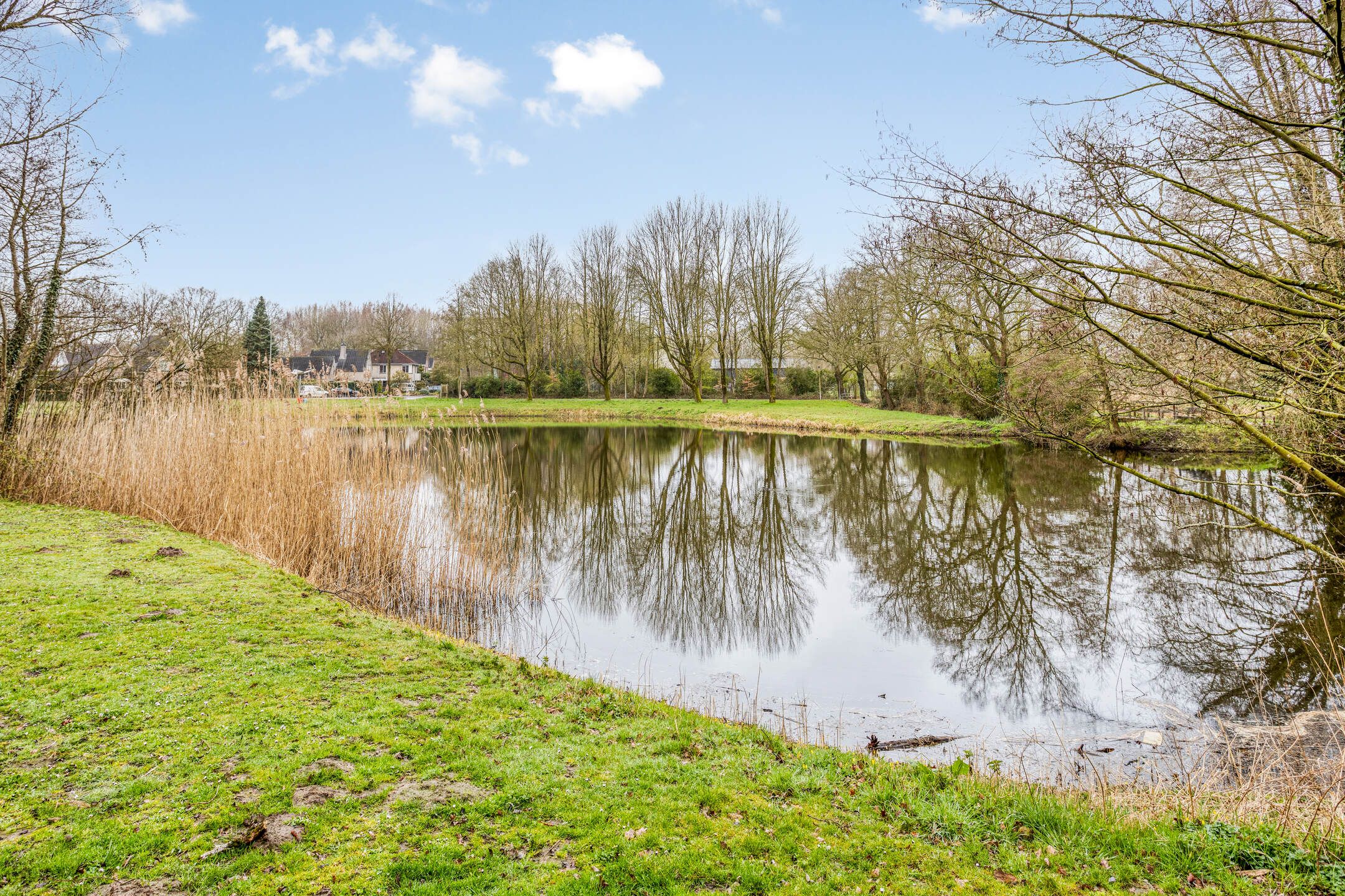 Foto 42 van Zeehondstraat 65