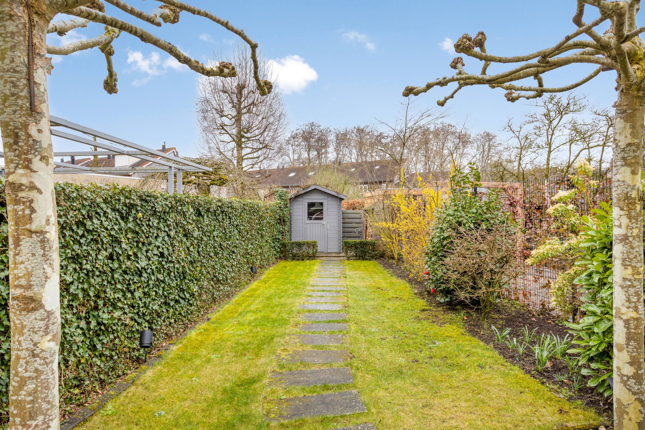 Foto 36 van Zeehondstraat 65