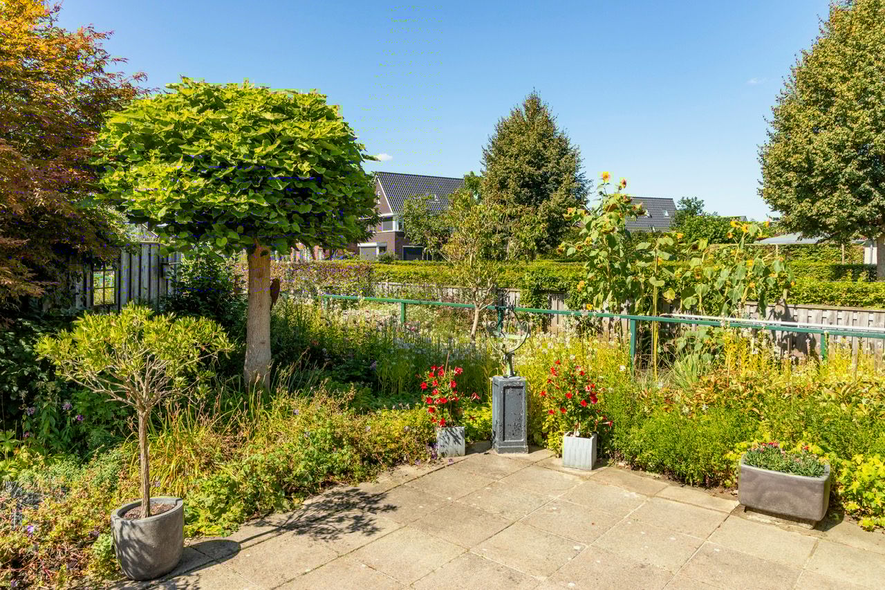 Photo 48 of Bomenrand 15