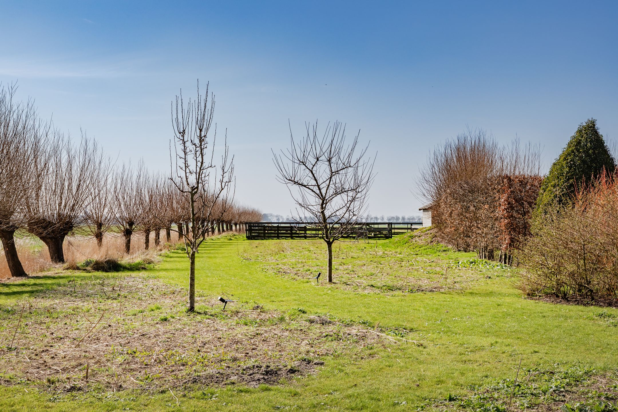 Photo 48 of Gouwe 39
