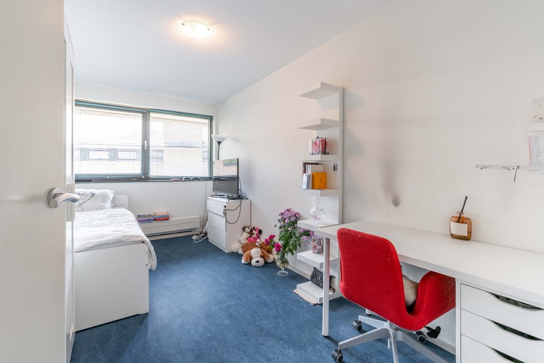 Foto 17 van de Mare 21