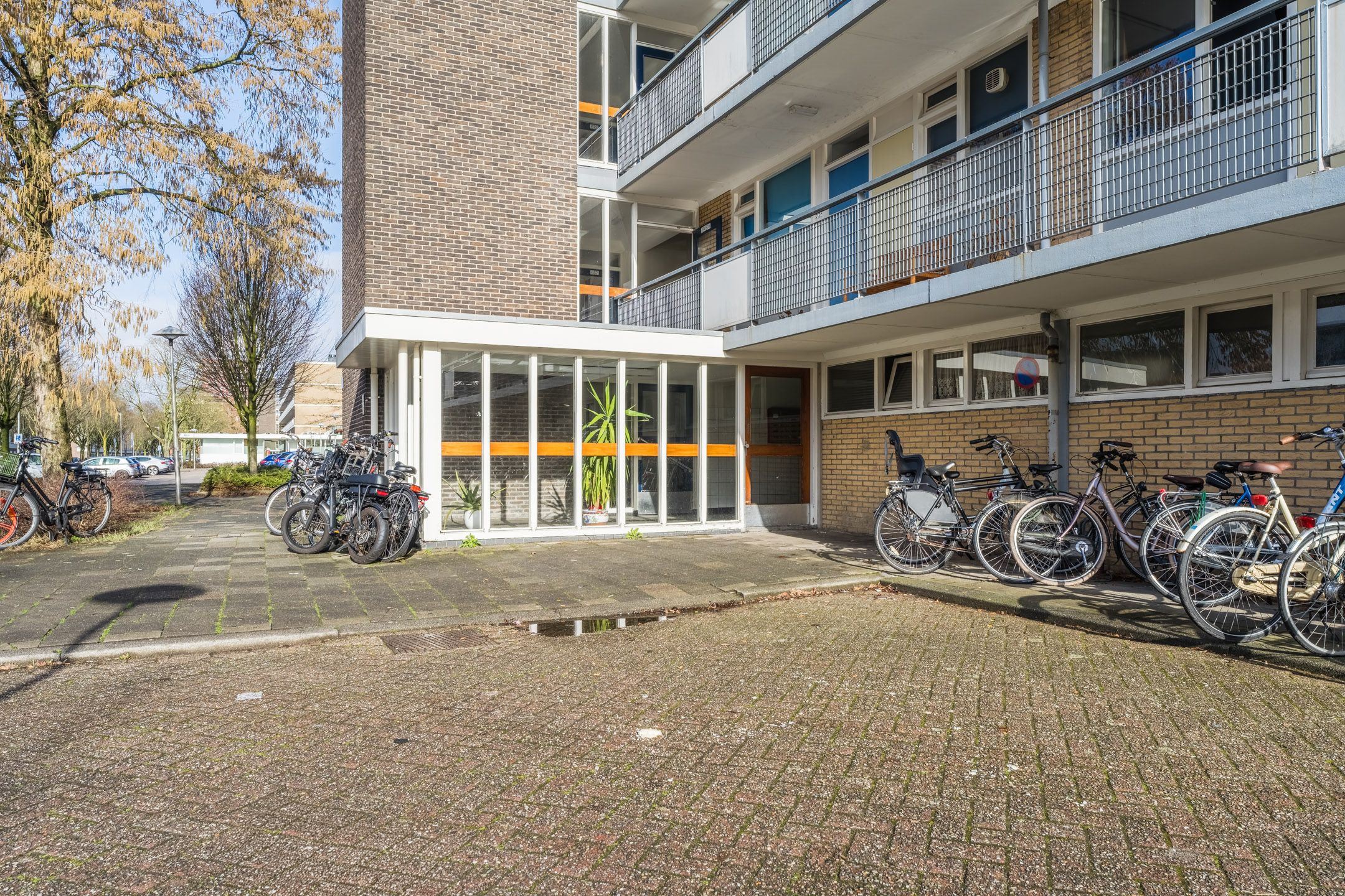 Foto 6 van Livingstonelaan 726