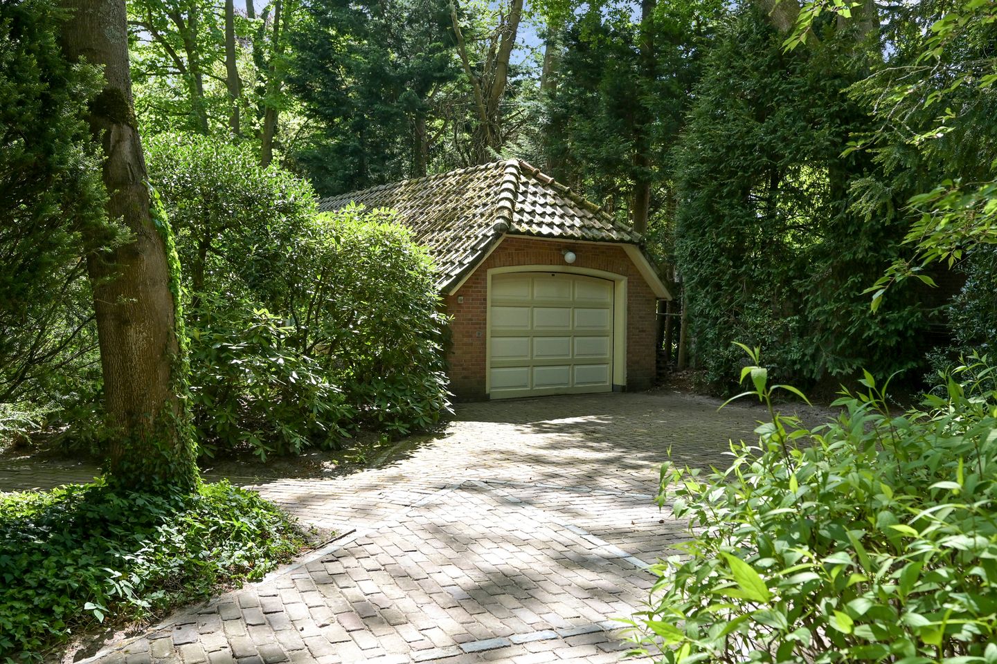 Foto 44 van Groen van Prinstererlaan 3