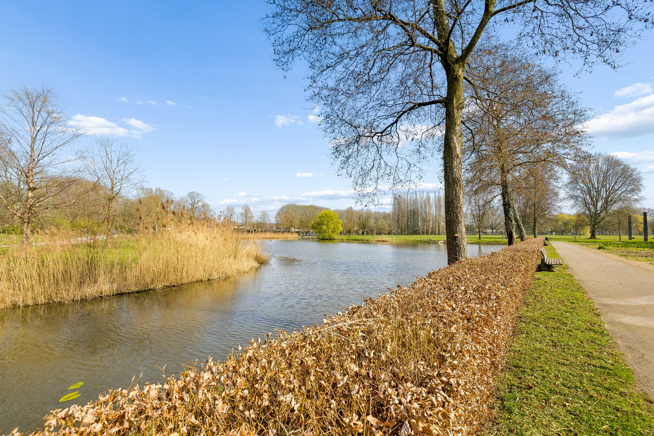 Foto 33 van Adriaen Willaertstraat 57