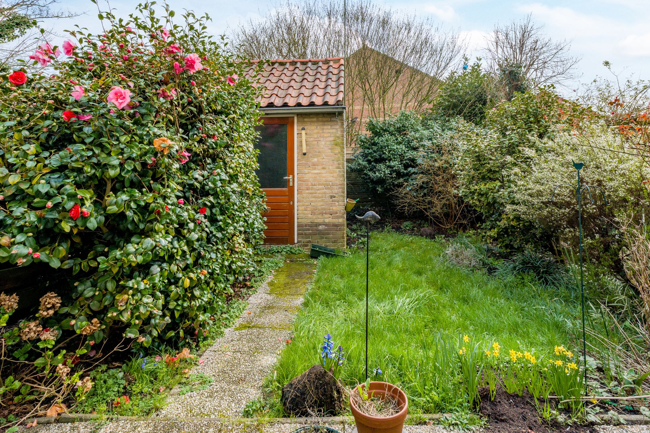 Photo 3 of Wilhelminaplantsoen 69