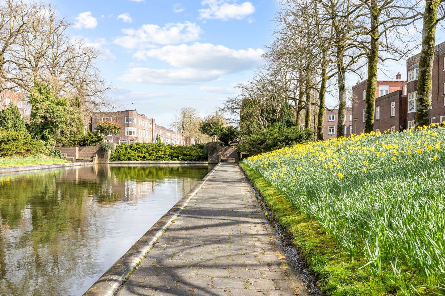 Photo 4 of Amalia van Solmsstraat 9