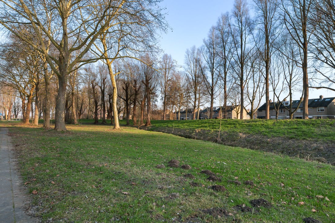 Photo 37 of Iepenlaan 114